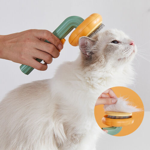cat pet pumpkin brush pet grooming